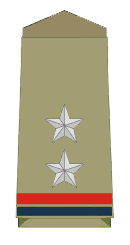 SI Badge