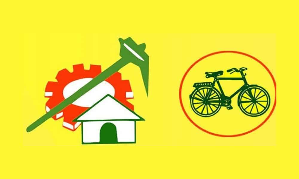 TDP's flag with logo